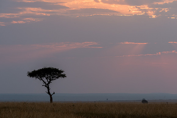 20130916_Kenya_0052