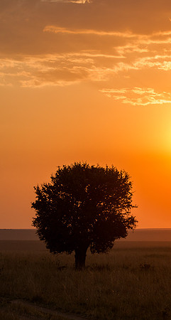 20130915_Kenya_0001-2