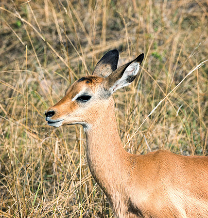 20130917_Kenya_0063