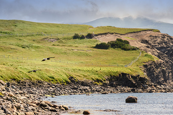 20150802_Portfolio Photos_0001