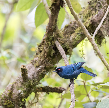 20150105_Ecuador_0013