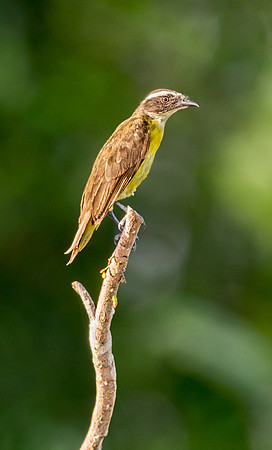 20150117_Ecuador_0001