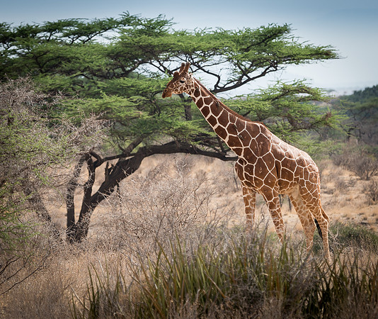 20130908_Kenya_0015