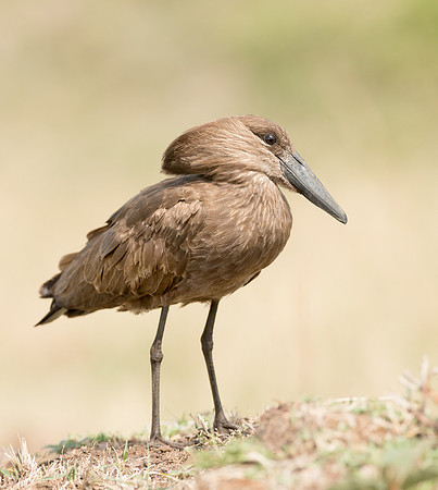 20130919_Kenya_0012