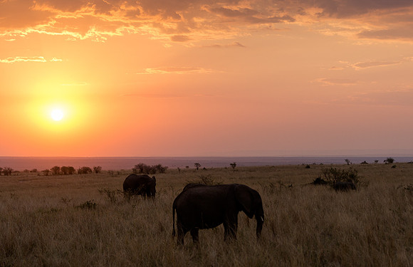 20130915_Kenya_0015