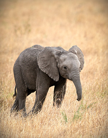 20130916_Kenya_0001