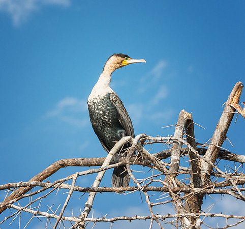 20130912_Kenya_0046