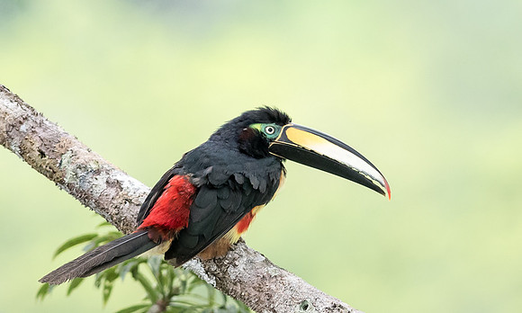 20150118_Ecuador_0016