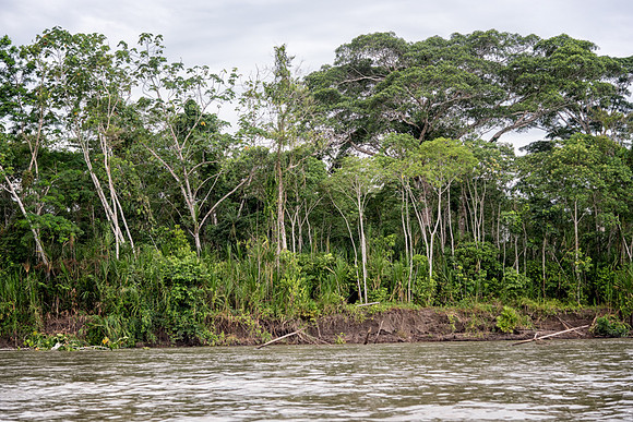 20150115_Ecuador_0012