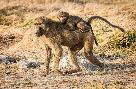 20130909_Kenya_0008