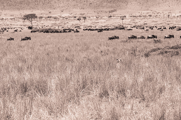 20130919_Kenya_0014