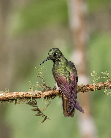 20150105_Ecuador_0019