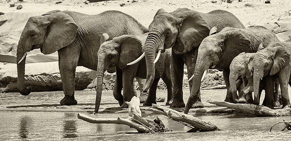 20130909_Kenya_0031
