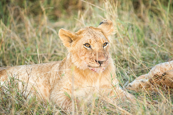 20130913_Kenya_0027-4