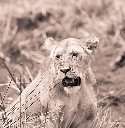 20130919_Kenya_0042