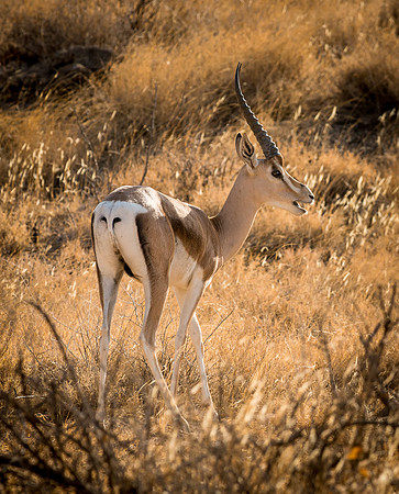 20130908_Kenya_0005