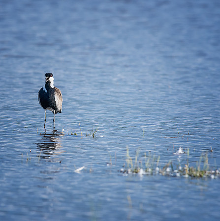 20130911_Kenya_0029