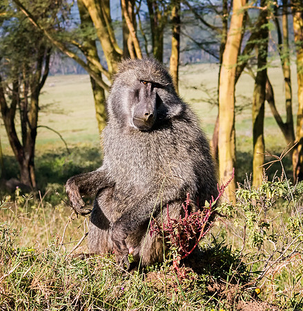 20130911_Kenya_0008