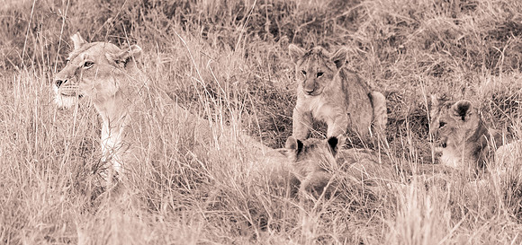 20130919_Kenya_0067
