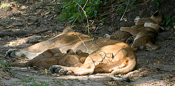 20130916_Kenya_0039