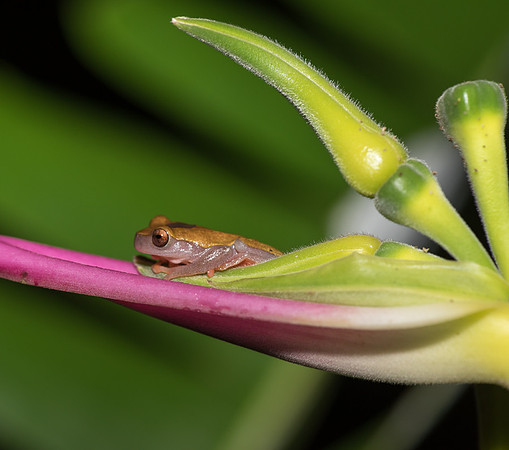 20150117_Ecuador_0001