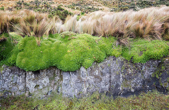 20150109_Ecuador_0028