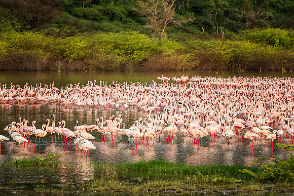20130911_Kenya_0023