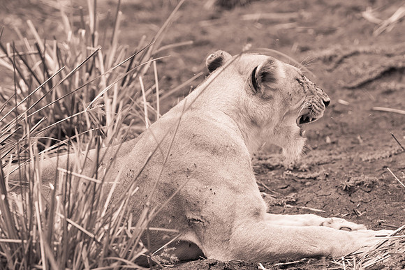20130919_Kenya_0035