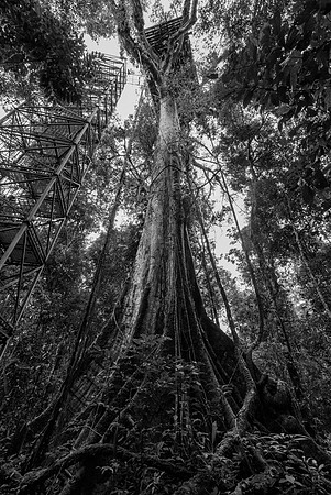 20150118_Ecuador_0021