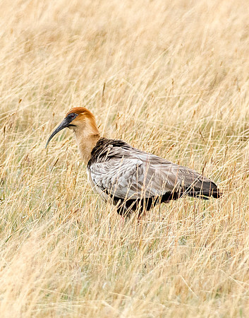 20150109_Ecuador_0001