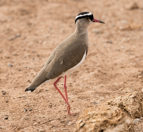 20130908_Kenya_0019