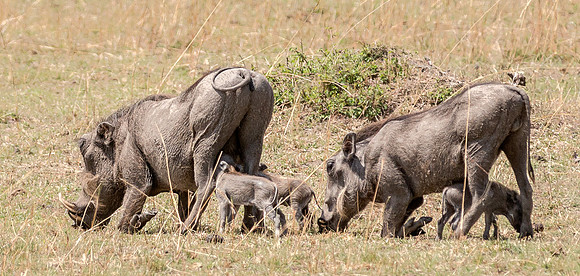20130917_Kenya_0024