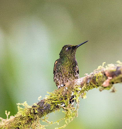 20150105_Ecuador_0001