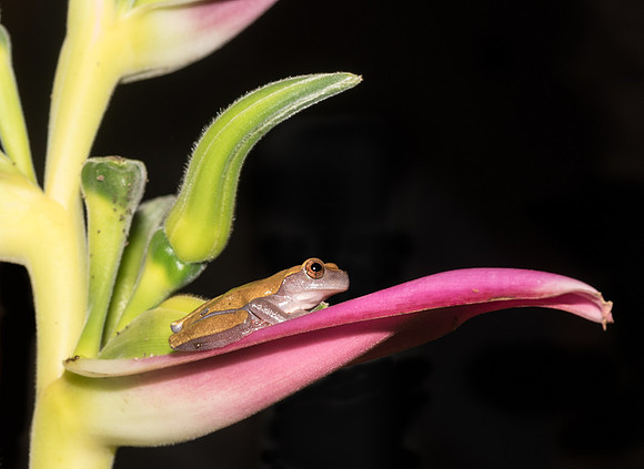 20150117_Ecuador_0001