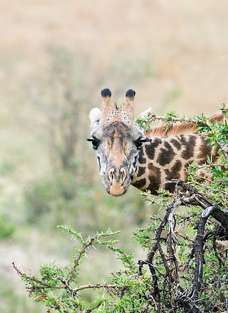 20130916_Kenya_0001