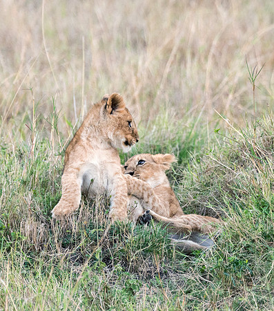 20130919_Kenya_0072