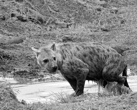 20130918_Kenya_0012