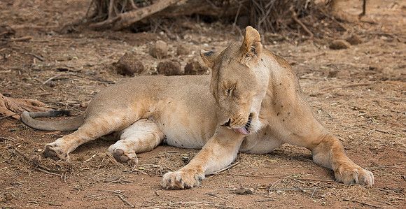 20130909_Kenya_0001