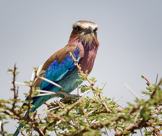 20130908_Kenya_0001-9