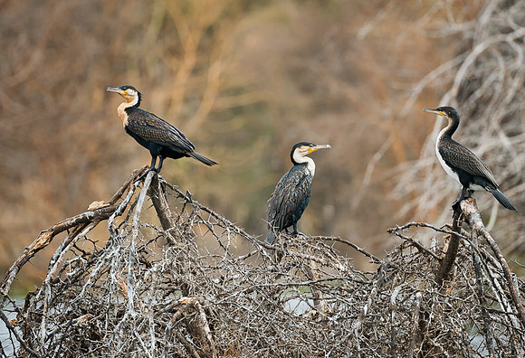 20130912_Kenya_0019