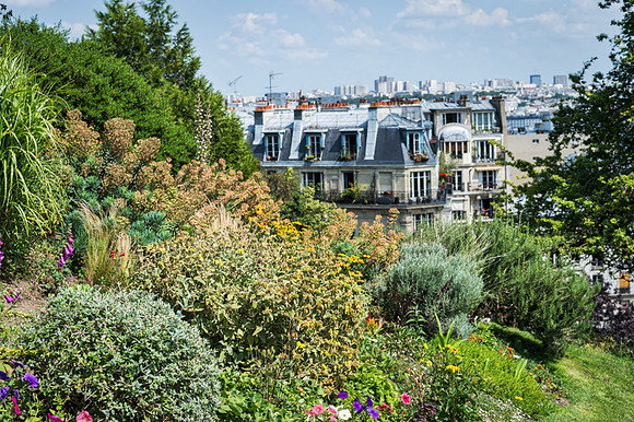 20140618_France_0041
