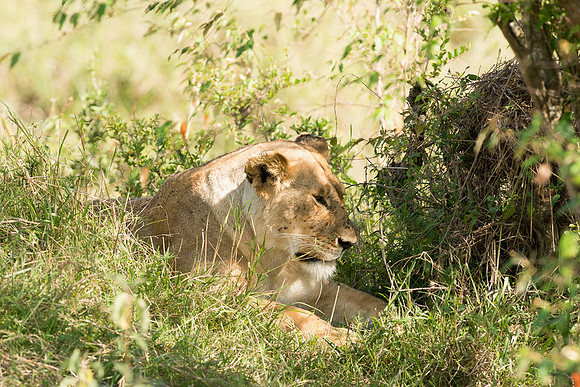 20130916_Kenya_0025