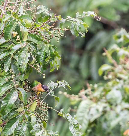 20150118_Ecuador_0018