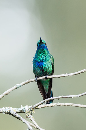 20150108_Ecuador_0010