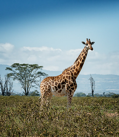 20130911_Kenya_0002-2
