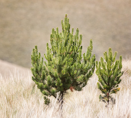 20150109_Ecuador_0045