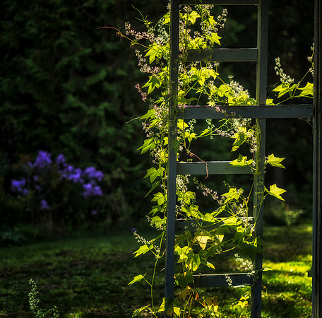 20140821_France_0070