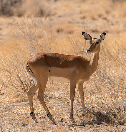 20130908_Kenya_0010