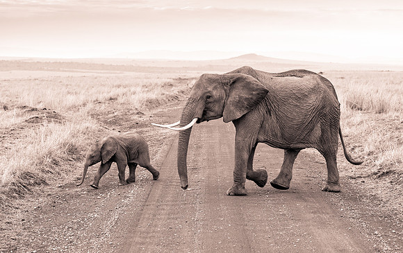 20130919_Kenya_0002