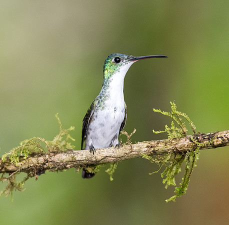 20150105_Ecuador_0020